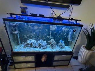 Pecera de agua salada 70 galones con todos sus accesorios