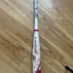-10 Easton Fast Pitch Softball Bat