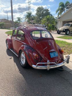 1966 Vw bug
