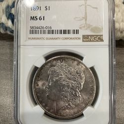 1891 Morgan Silver Dollar Ngc Ms61