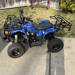 Kids Quad 