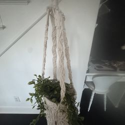 Brand New White Hanging Plant Holder With Plant 