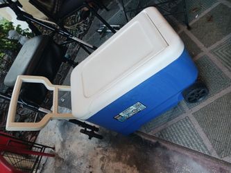4 LIKE NEW IGLOO COOLERS 10 EACH BUY 2 OR MORE FIRM