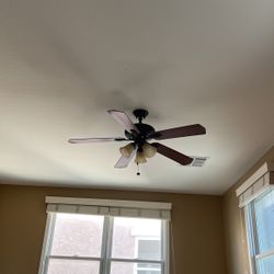 Used Fan