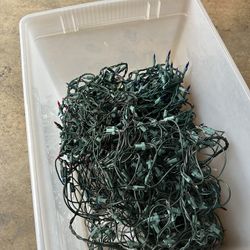 Christmas Lights 