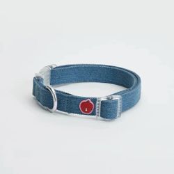 Fun Pet Collars