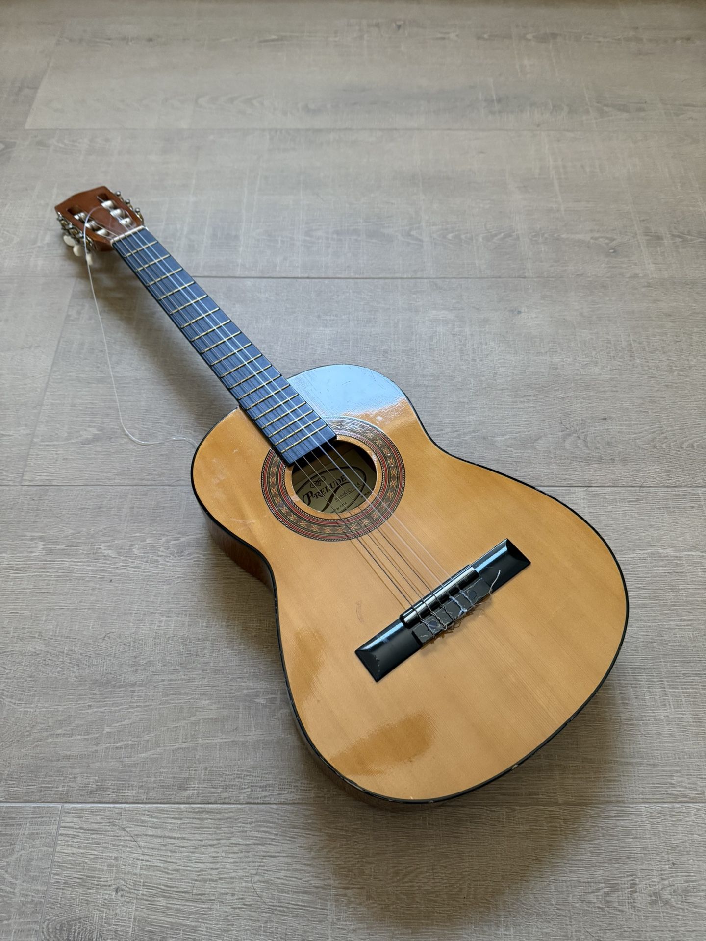 Acoustic Guitar