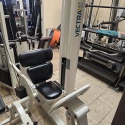 Vectra online 4800 leg press with seated overhead tricep extension gym equipment exercise fitness