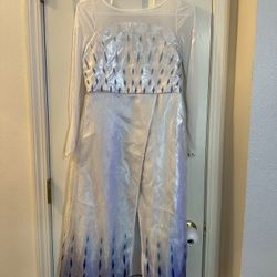 Youth Girls Disney Frozen Elsa Costume size 9/10