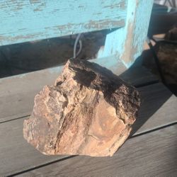 petrified

wood