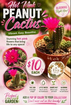 Hot pink peanut cactus 🌵🩷🥜