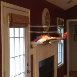 Remote Control Helicopters
