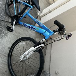 Mountain Bike