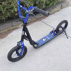 Push Scooter 