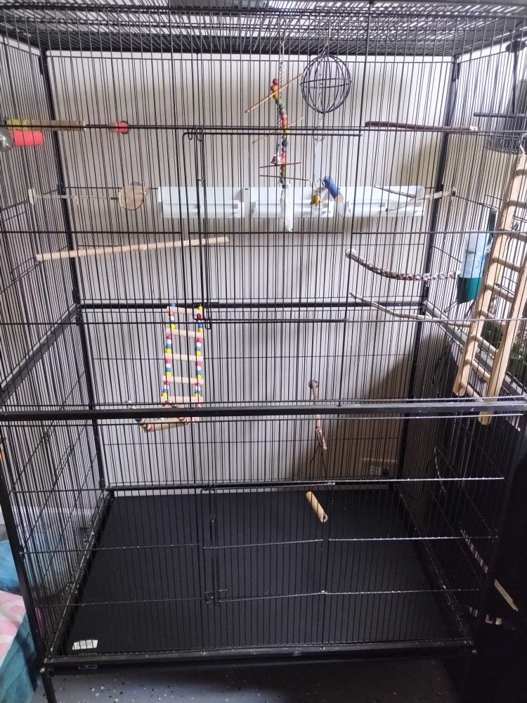 Birds Cage