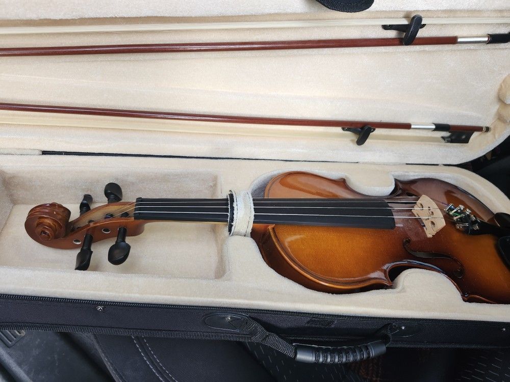 Violin