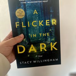 A Flicker In The Dark By Stacy Willingham 