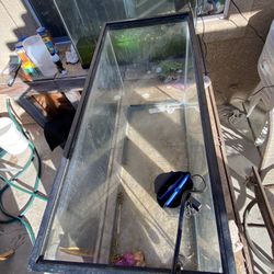 30 Gallon Tank With Water Heater And Filter