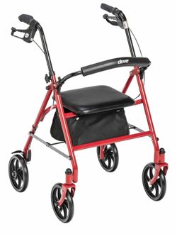 Drive Waker W/Seat (NEW)