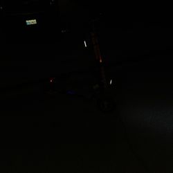 Zsnake Electric Scooter 