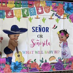 Gender Reveal Backdrop 