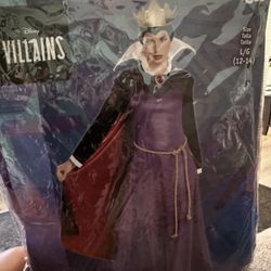 Adult Evil Queen Costume 