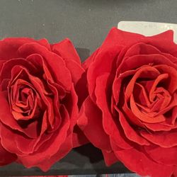 Two Hair Bows  Flowers$6 Each