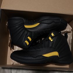 jordan 12