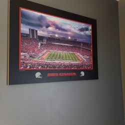 Ohio State Buckeyes Photos