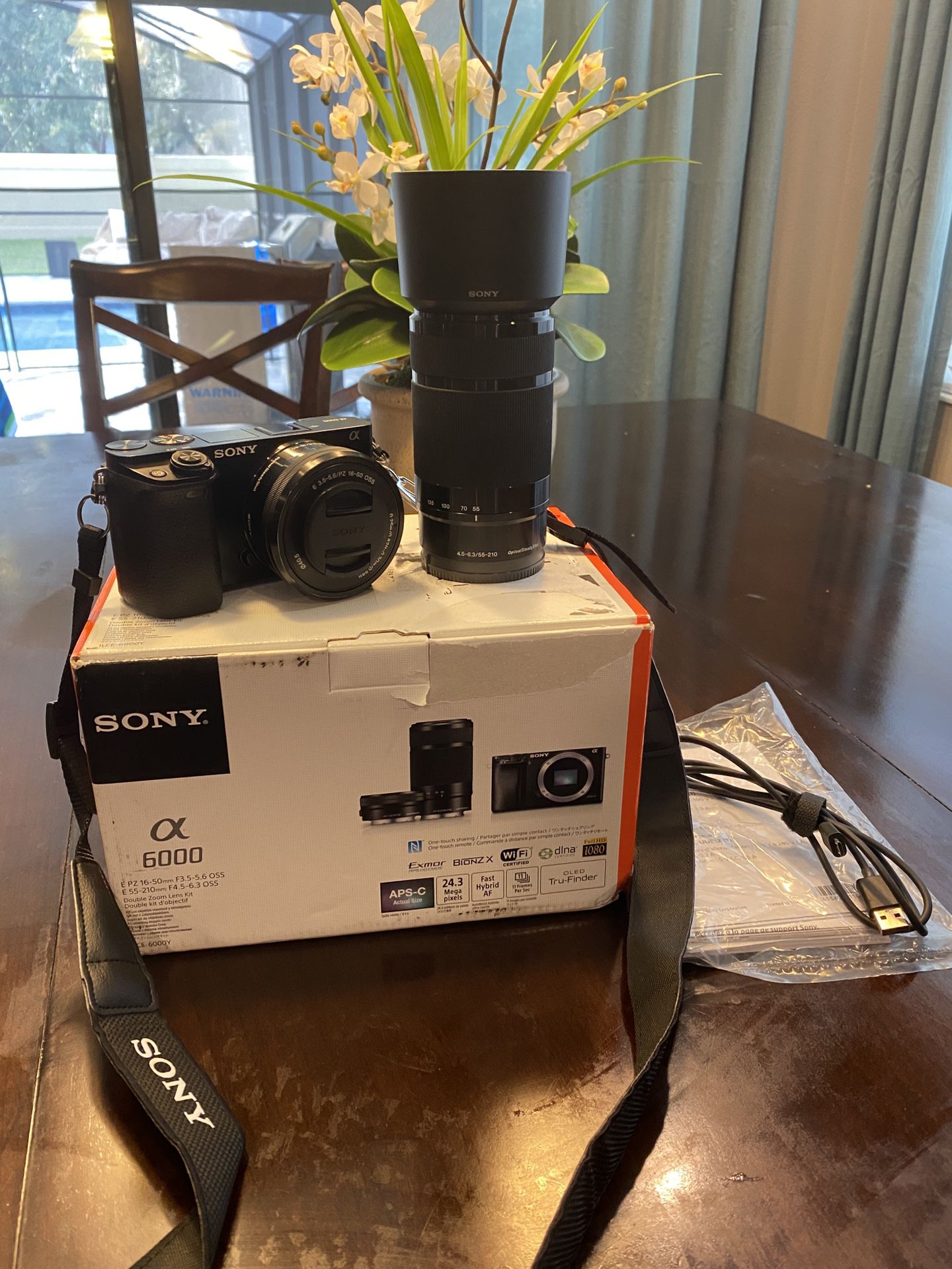 Sony A6000 w/16-50mm and 55-210mm lenses
