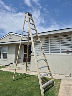 Twelve foot ladder