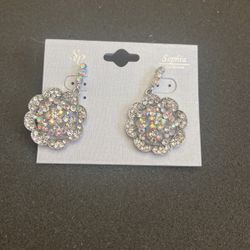 Cute Little Earrings 