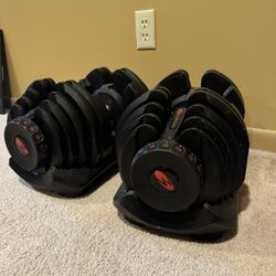 Adjustable dumbbells - Bowflex 90 Lbs