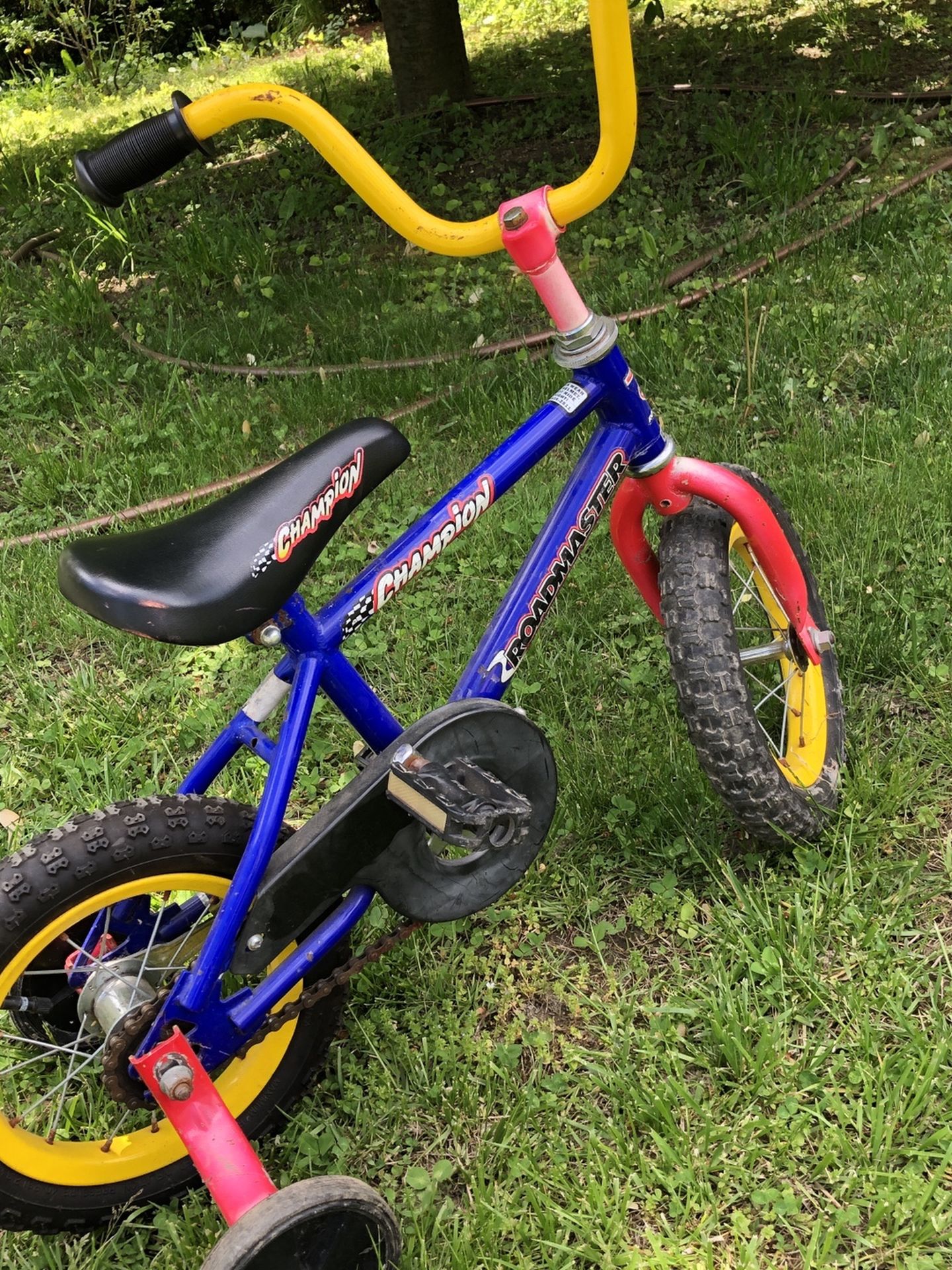 Toddler Bike With Training Wheels