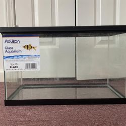 Large Fish Tank 