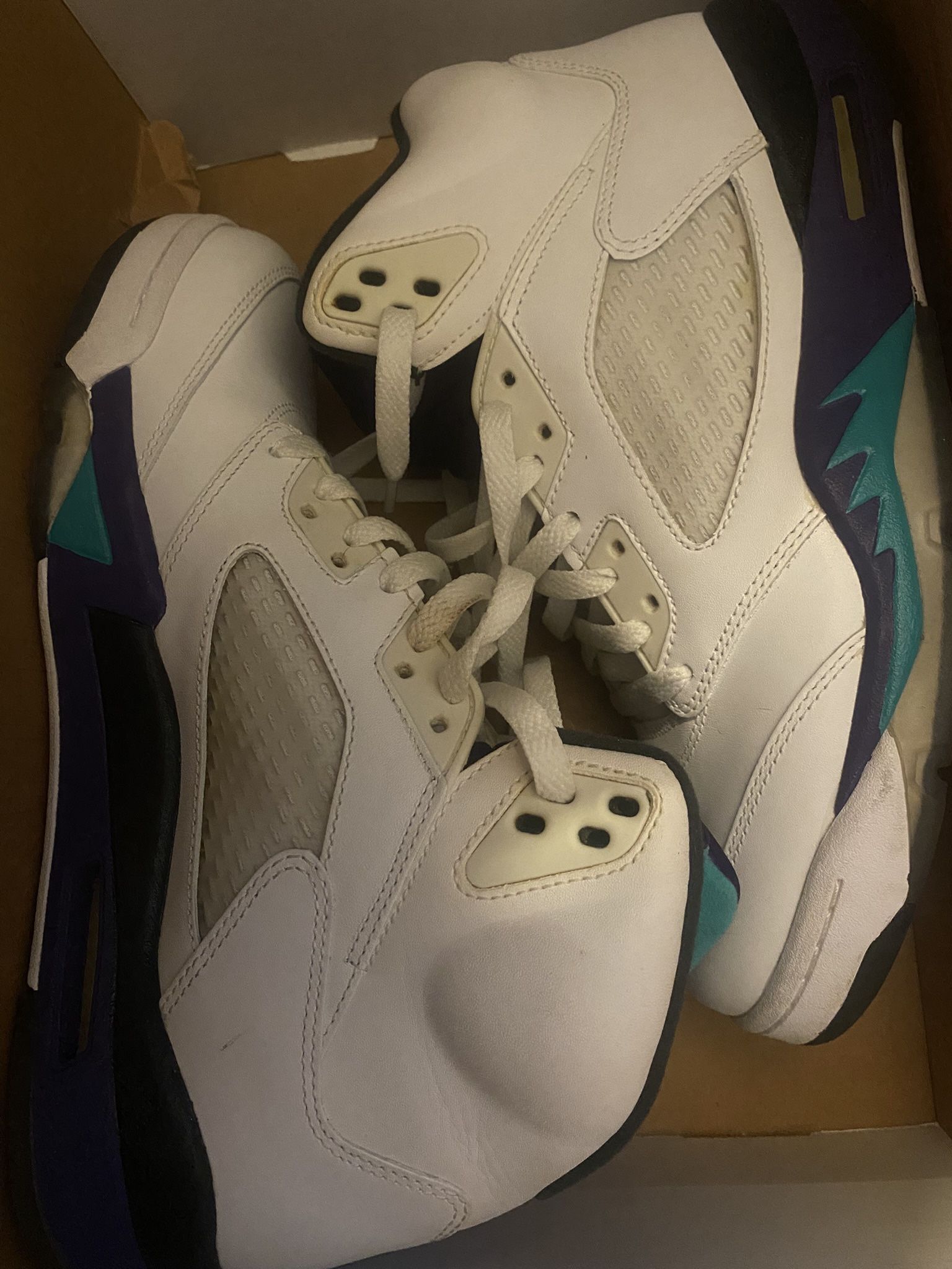 Jordan 5 Grapes Size 9.5