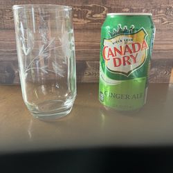 Beverage Glasses Princess House