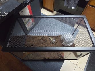 10 Gallon tank w/ Lid