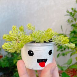 Valentine’s Day Gifts