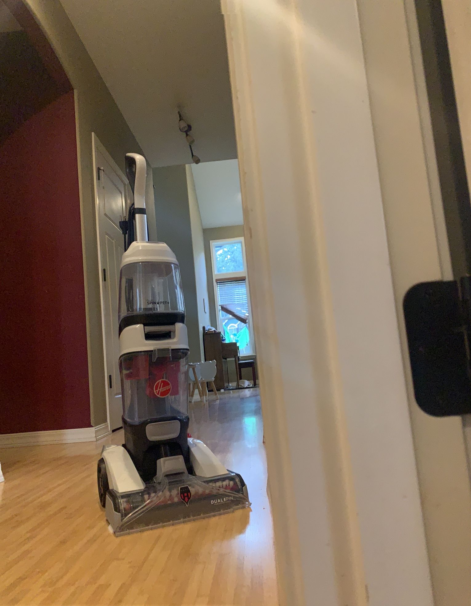 Carpet Cleaner Dual Brush Roll Plus Heat