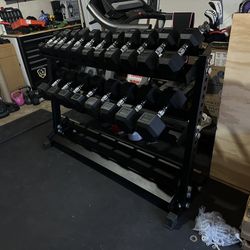 5-50lbs Dumbbells w/Rack 
