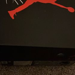 Air Jordan 4s RETROS