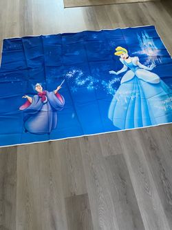 Cinderella backdrop