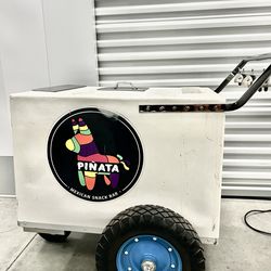 Professional Snack Paleta Cart