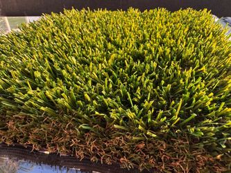 Come get best turf in south Florida in direct wholesale pricing