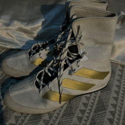 Boxing Shoes