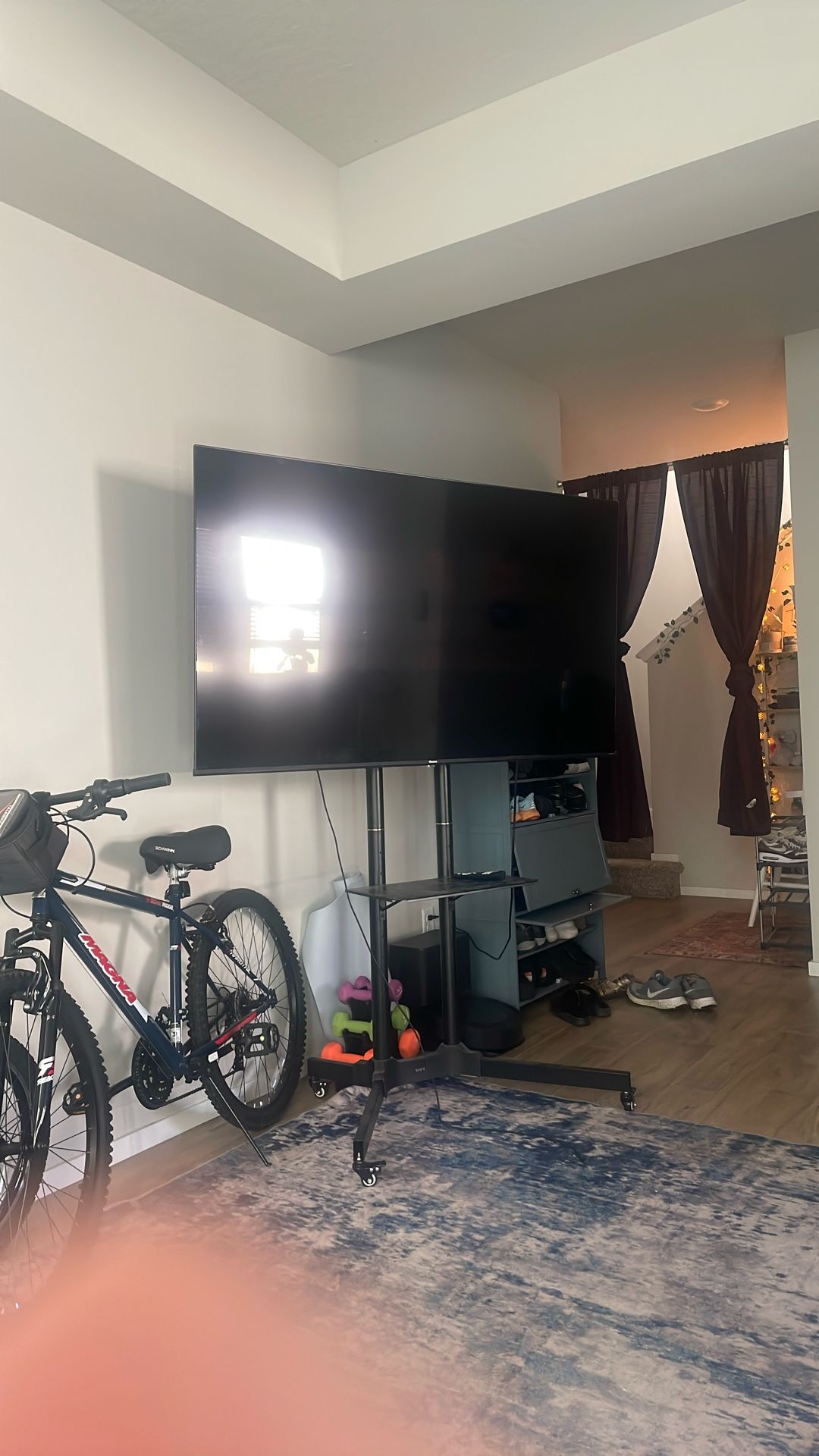 60 Inch Flat Screen With Stand