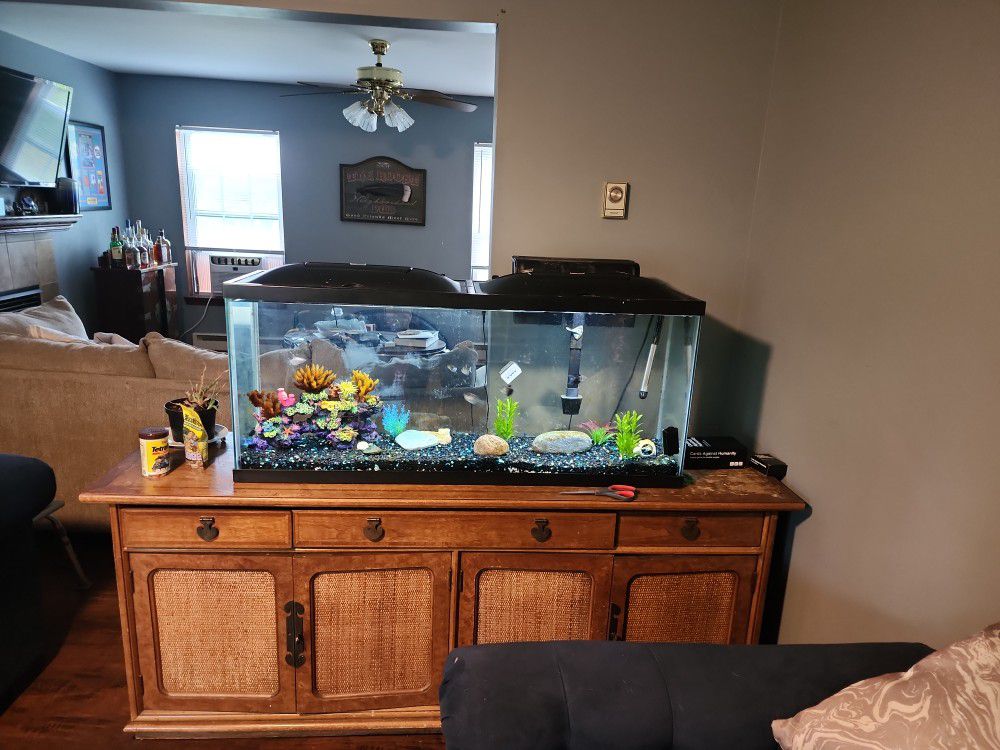55 Gallon Fish Tank with fish And Stand