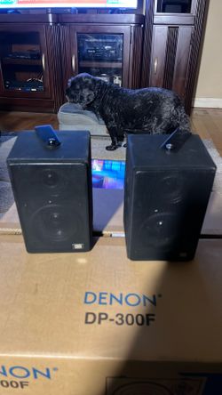 Book Shelf Speakers 