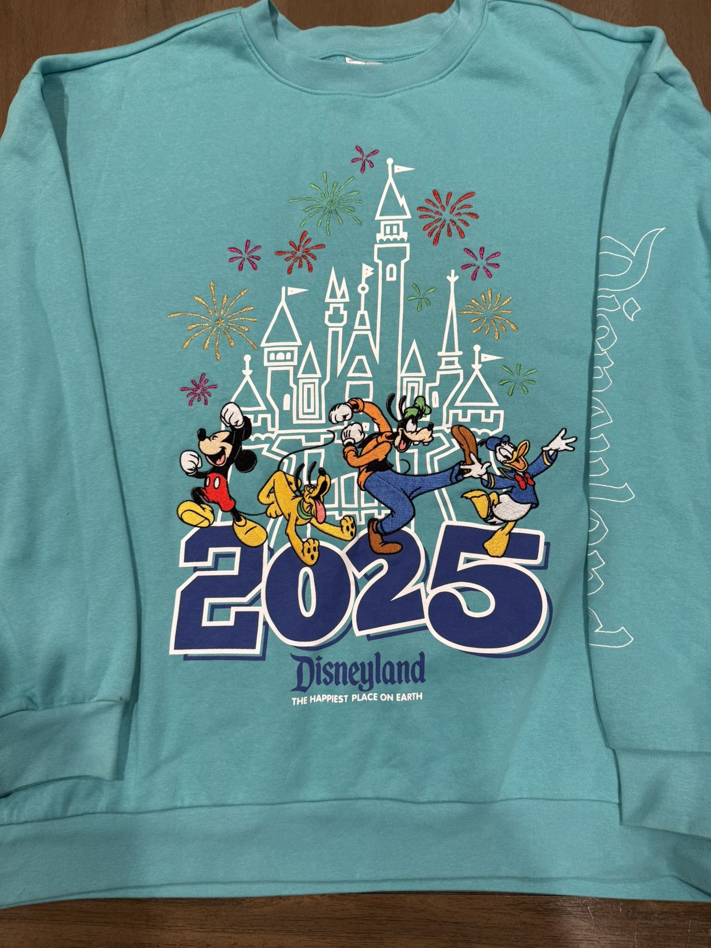 Disneyland Sweatshirt Size 3XL